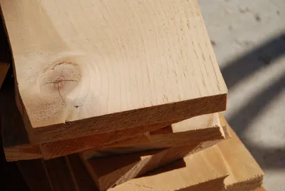 DSC_0047 (Large).JPG